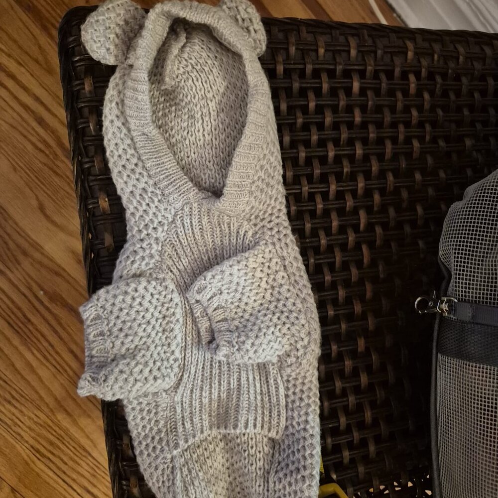 🐩 Clothes and Accessories for Dog Size S or XS - Post 1 of 2 - Picture 14 of 16